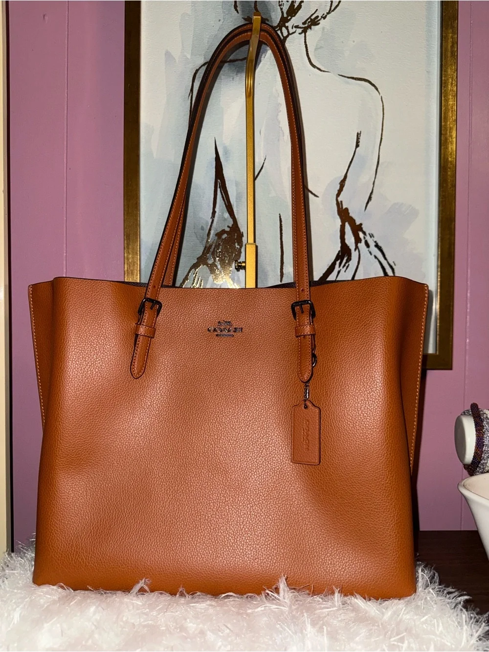 Coach Mollie Tote